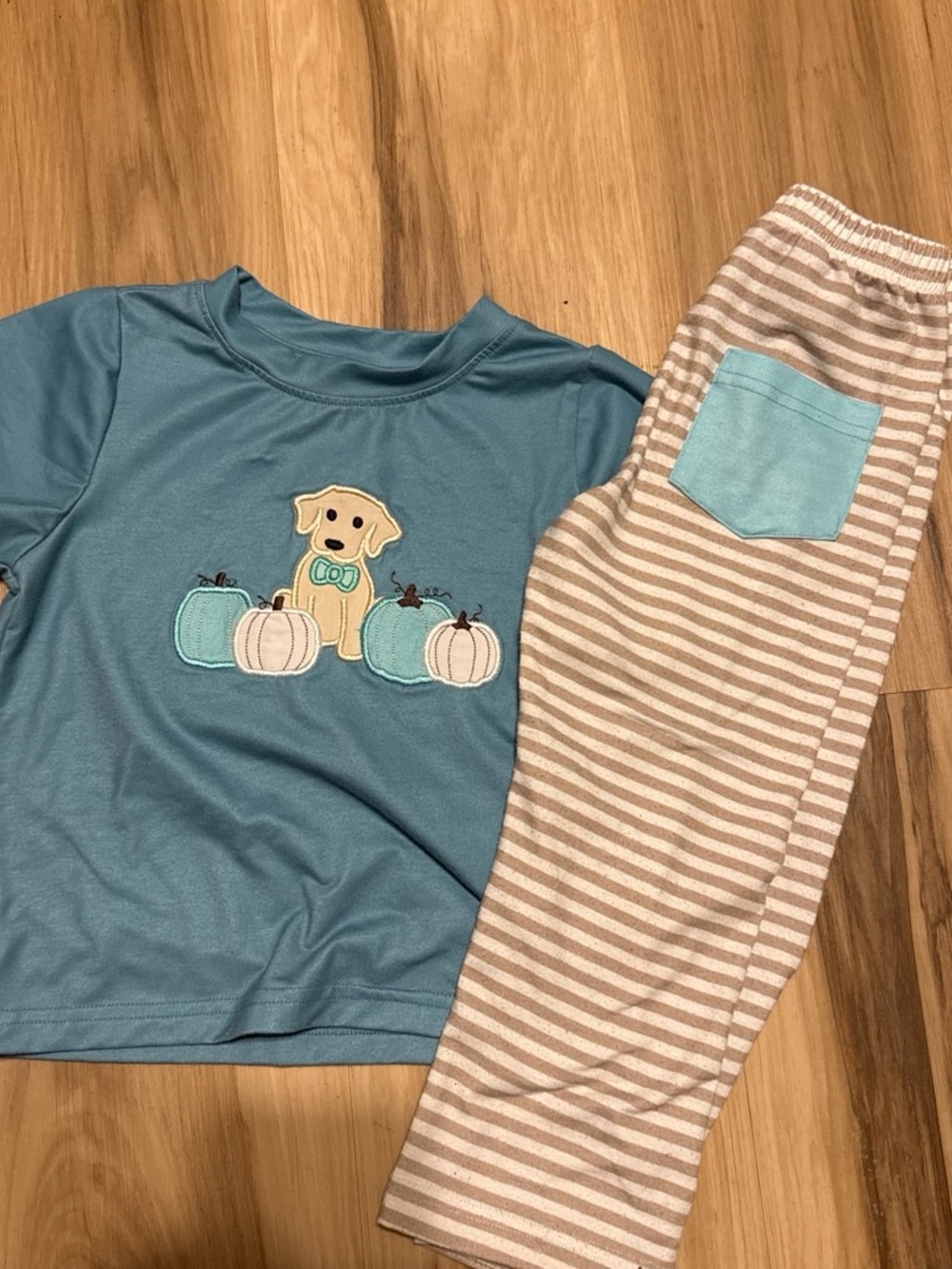 Kids Teal Puppy & Pumpkin Set